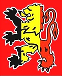 Shirt badge/Association crest