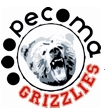 Groningen Grizzlies.jpg