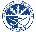 Hsclogo.png