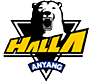 Anyang halla logo.png