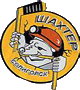 ShakhtarSoligorsk.png