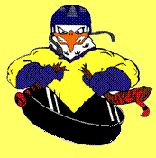 Ski.gif