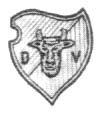 Dragos Voda.jpg