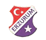 Erzurum Genclik.gif