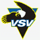 ECVillacherSVLogo.gif