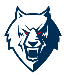 HC Neftekhimik Nizhnekamsk Logo new.png