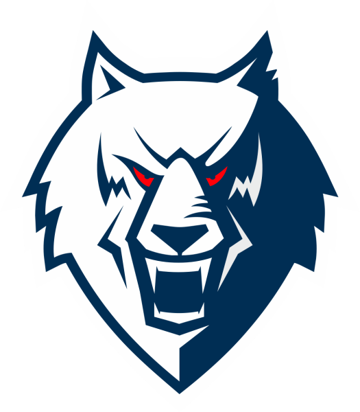 File:HC Neftekhimik Nizhnekamsk Logo new.png