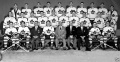 Toronto Maple Leafs