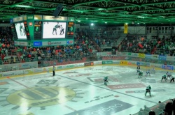 Skalica Stadium.jpg