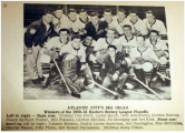 Atlantic City Sea Gulls