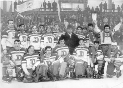 Dinamo Bucuresti.jpg