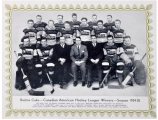 Boston Cubs
