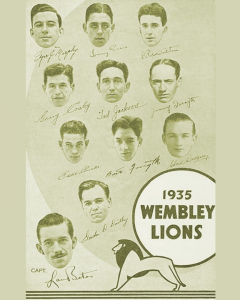 File:35WemLions.jpg