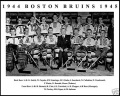 Boston Bruins