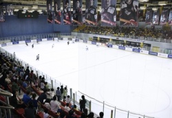 Goyang rink.jpg