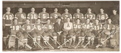 Buffalo Bisons