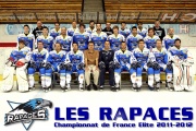 Rapaces de Gap