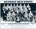 Detroit Red Wings