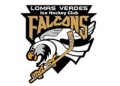 Halcones de Lomas Verdes