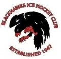 The club's logo.