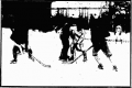 An image from the January 21 issue.