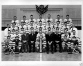 Toronto Maple Leafs