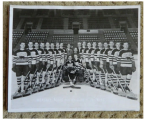 Hershey Bears