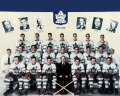 Toronto Maple Leafs