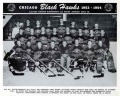 Chicago Black Hawks