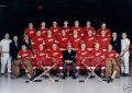 Detroit Red Wings