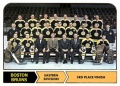 Boston Bruins