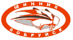 Shinnik Bobruisk.png