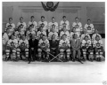 Toronto Maple Leafs