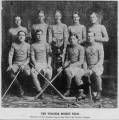 The St. Paul Virginias