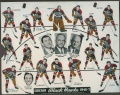 Chicago Black Hawks