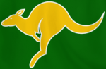 Shirt badge/Association crest
