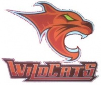 Gauteng Wildcats.jpg