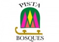 Jaguares de Pabellon Bosques