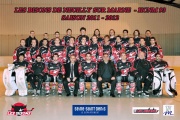 Bisons de Neuilly-sur-Marne