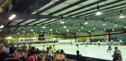 Phillip Ice Skating Centre Ice Rink.png
