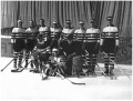 The Polish team.