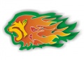 Leones de Leon
