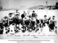 Detroit Cougars