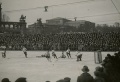 Thumbnail for version as of 13:19, 1 December 2016